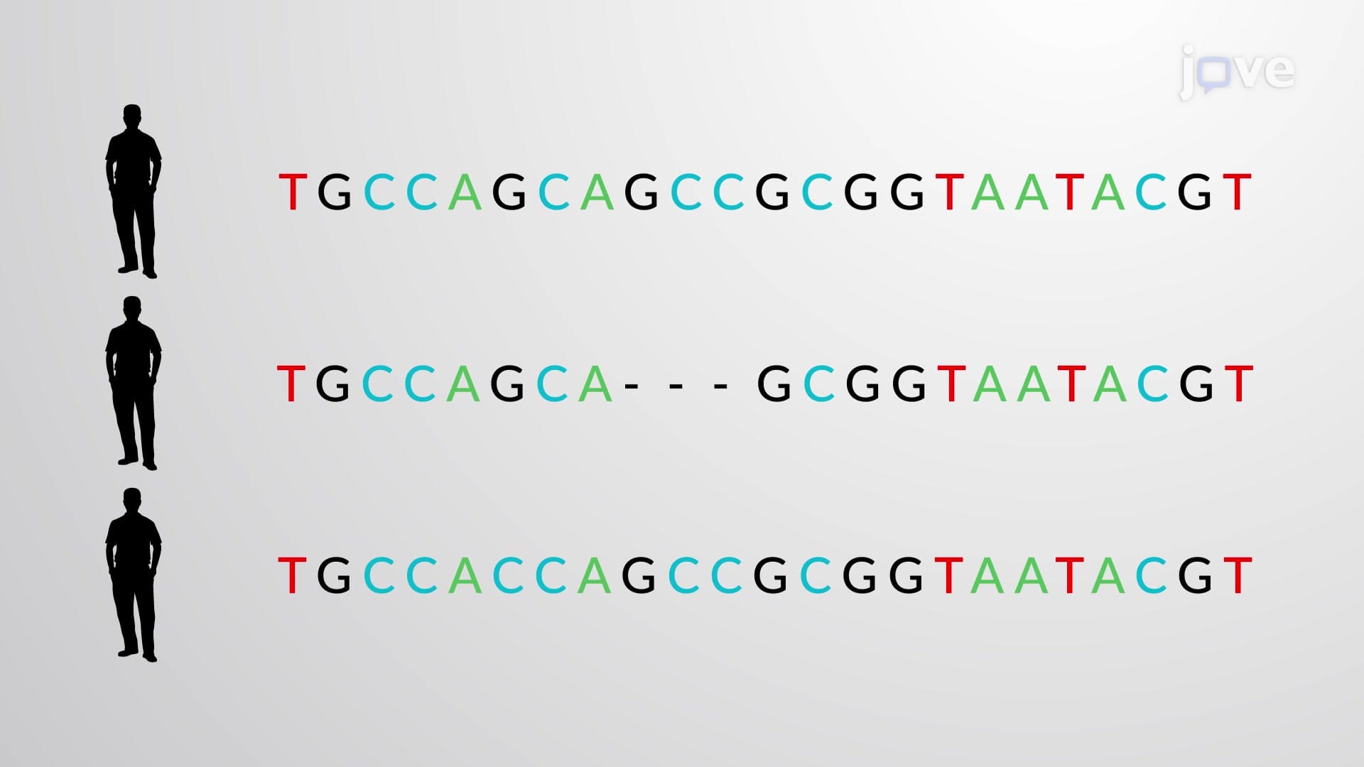 Single Nucleotide Polymorphisms-SNPs