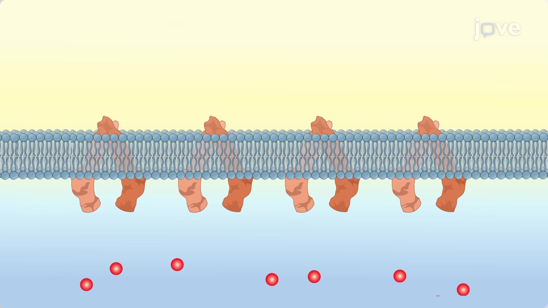 Treatment Resistent Cancers