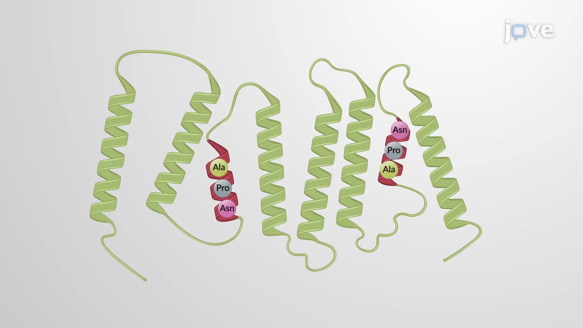 Channels and the Electrical Properties of Membranes