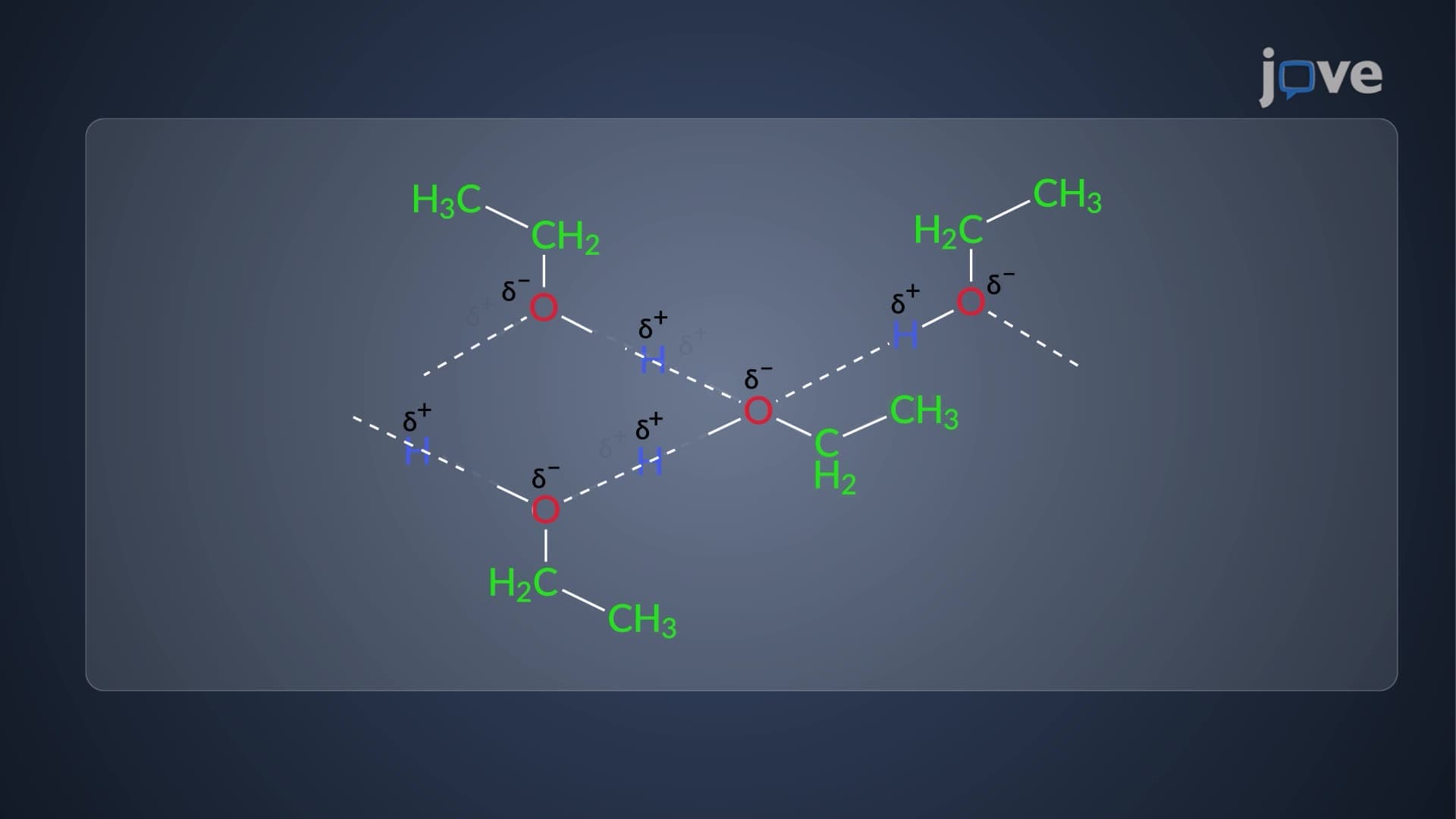 ¹H NMR of Labile Protons: Temporal Resolution