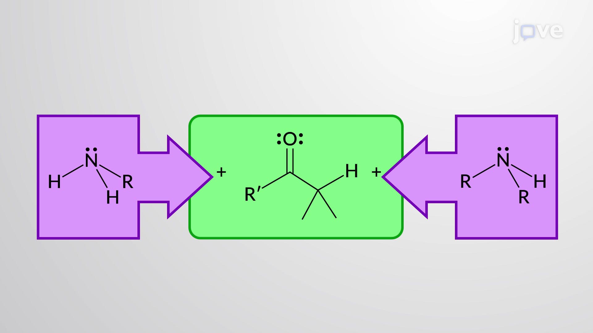 Aldehydes and Ketones with Amines: Imine and Enamine Formation Overview