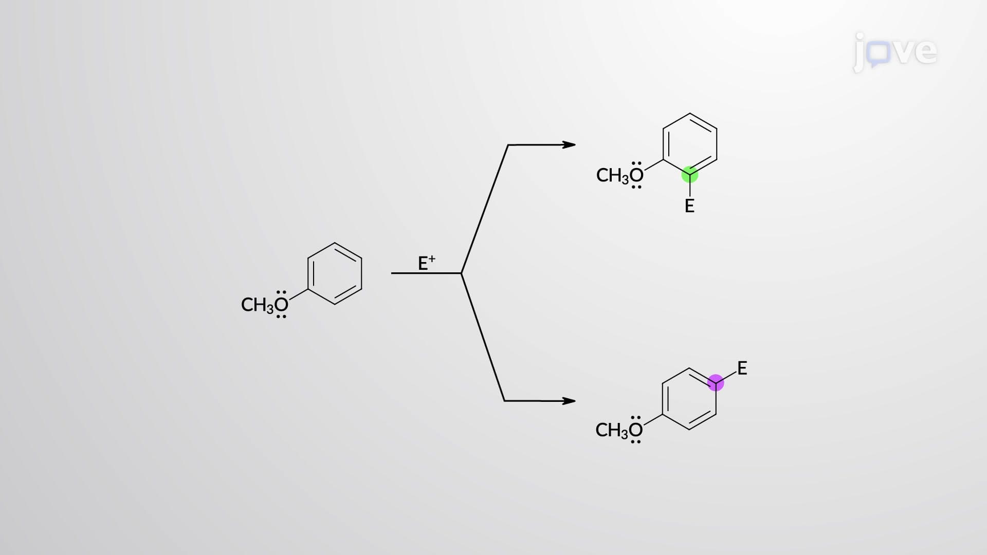 ortho–para-Directing Activators: –CH3, –OH, –⁠NH2, –OCH3