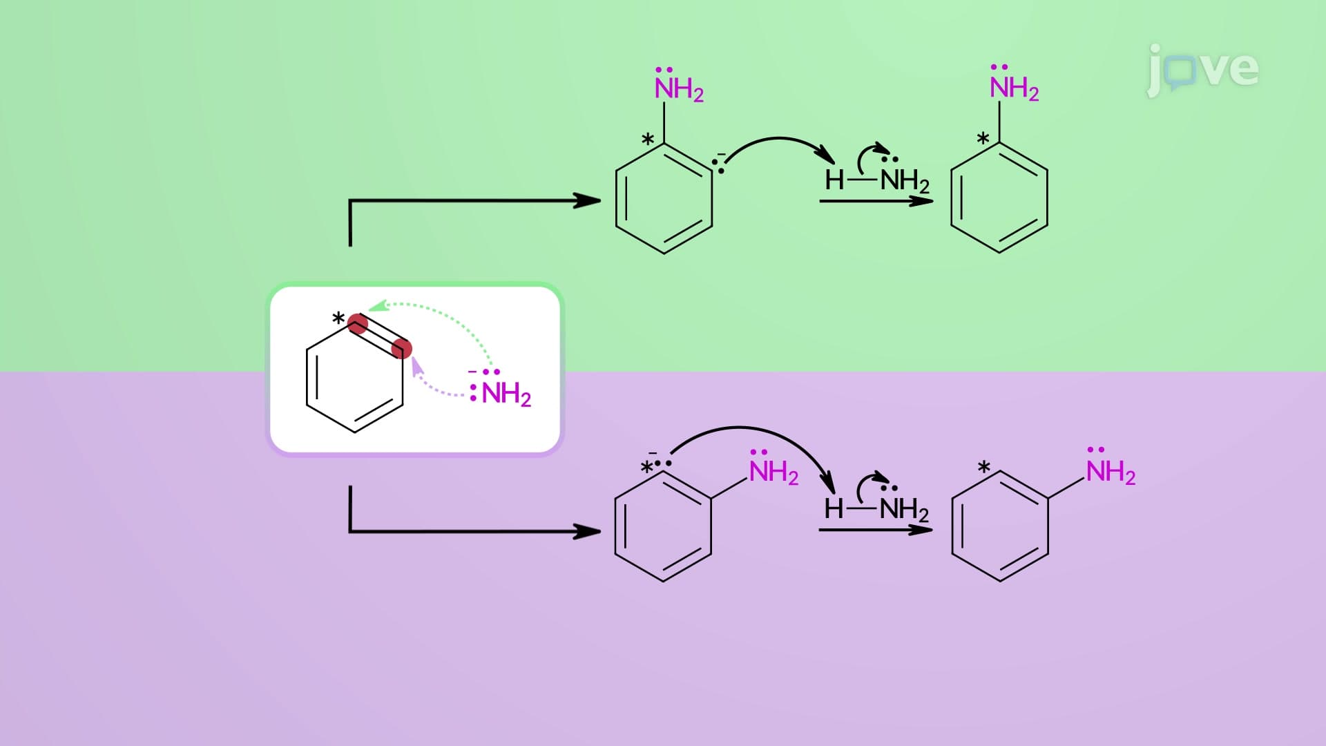Nucleophilic Aromatic Substitution: Elimination–Addition