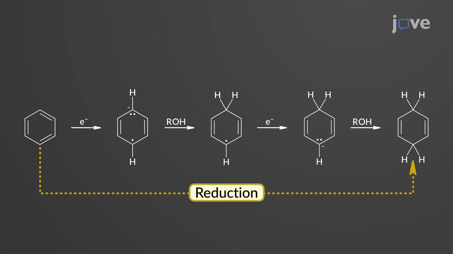 Benzene to 1,4-Cyclohexadiene: Birch Reduction Mechanism