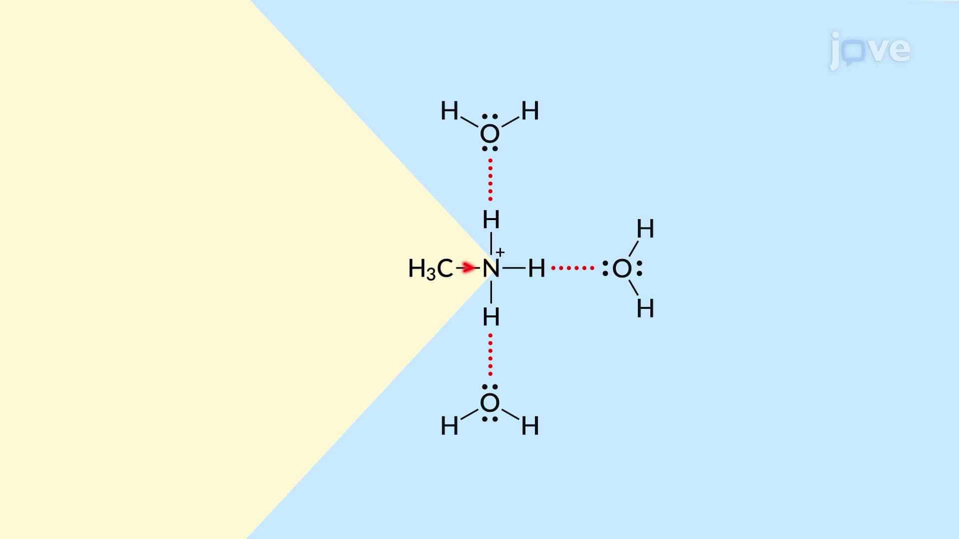Basicity of Aliphatic Amines