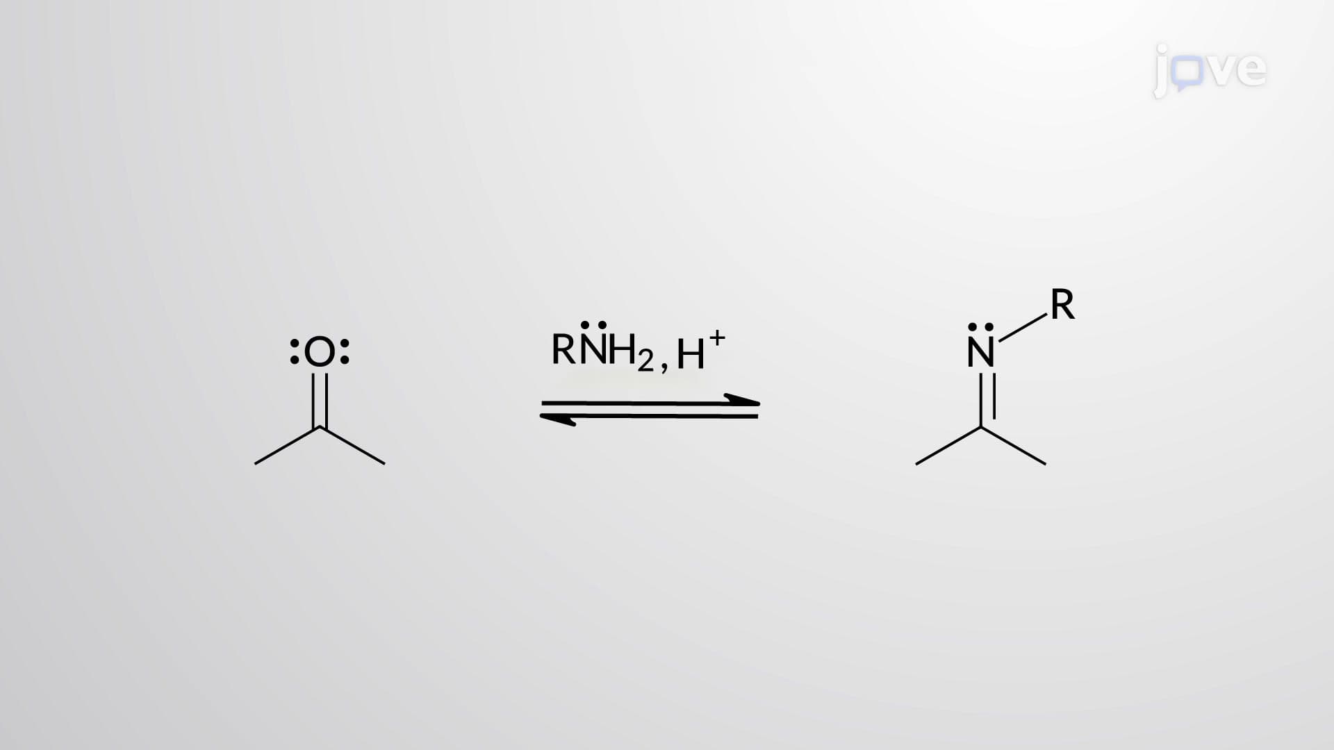 Aldehydes and Ketones with Amines: Imine Formation Mechanism