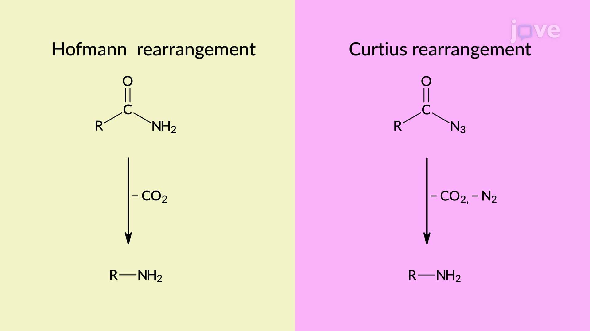Preparation of 1° Amines: Hofmann and Curtius Rearrangement Mechanism