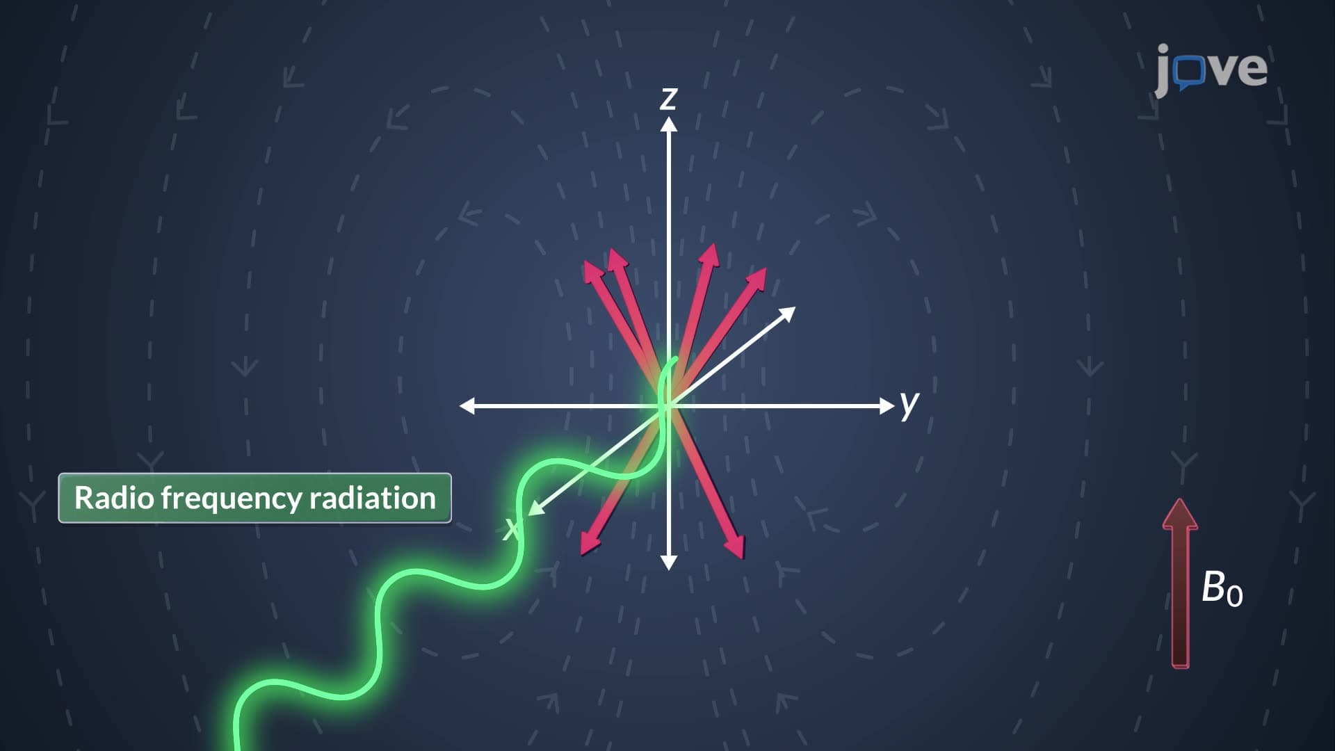 Atomic Nuclei: Nuclear Relaxation Processes