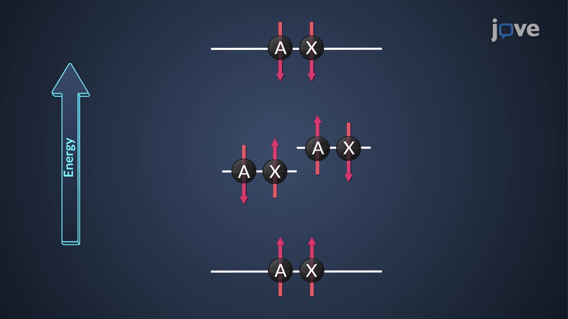 ¹H NMR Signal Multiplicity: Splitting Patterns