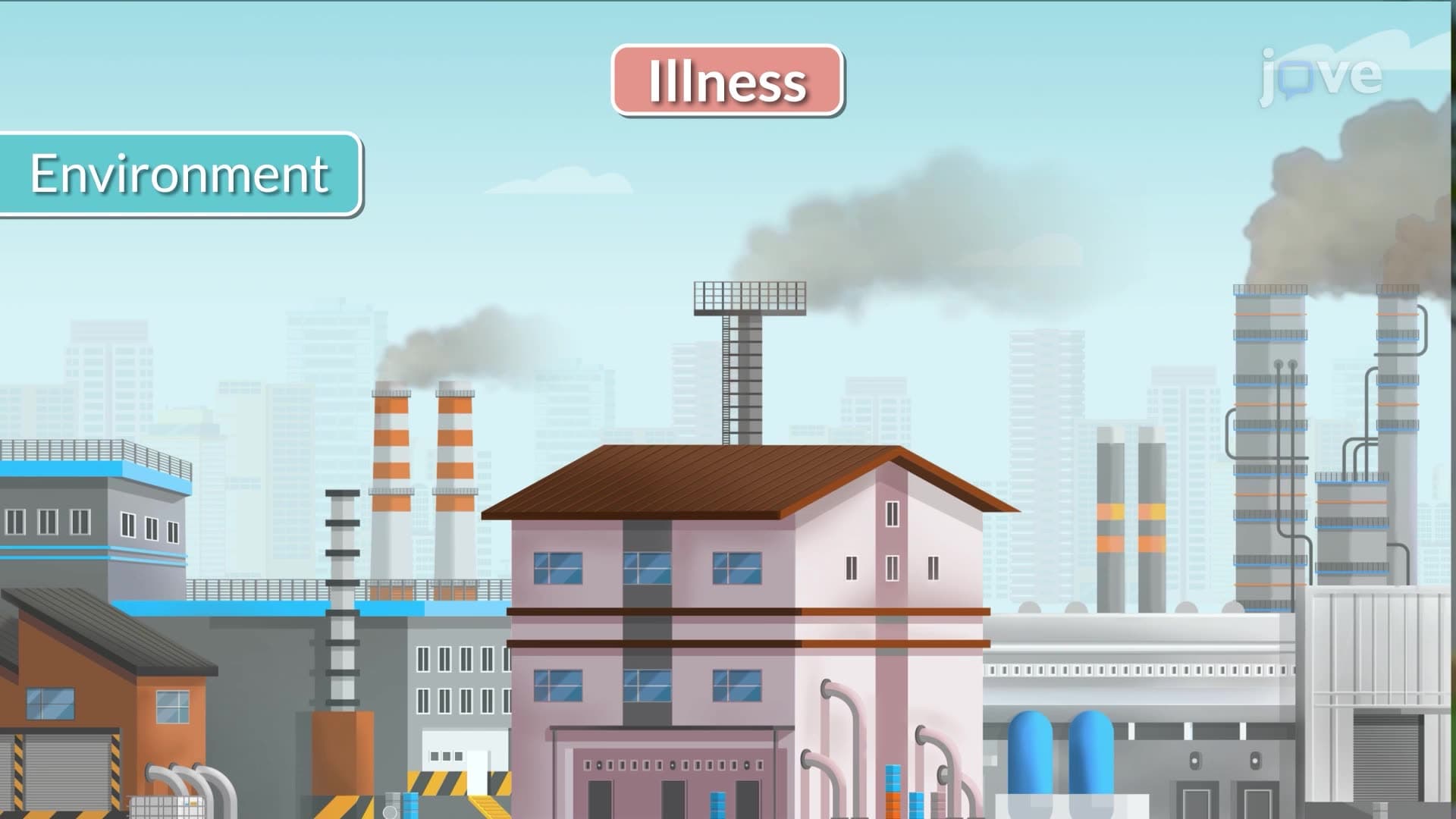 Factors Affecting Illness