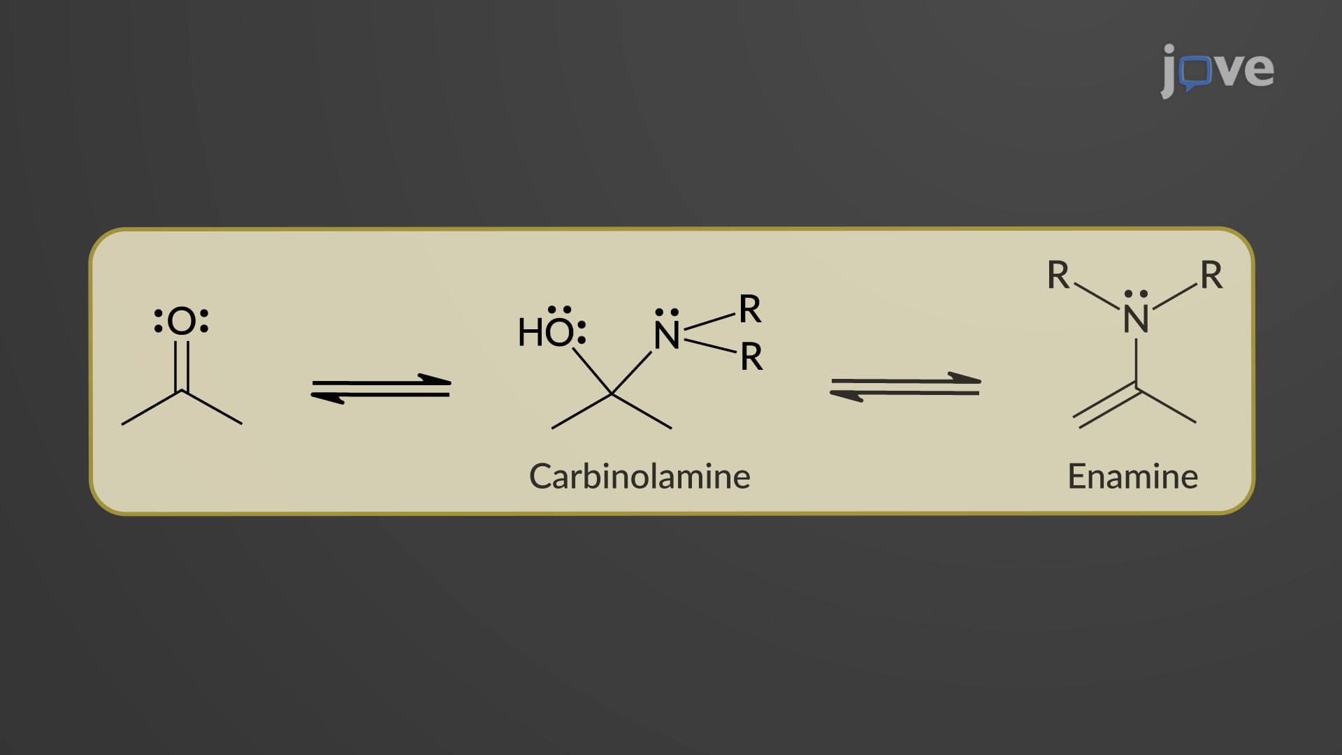 Aldehydes and Ketones with Amines: Enamine Formation Mechanism