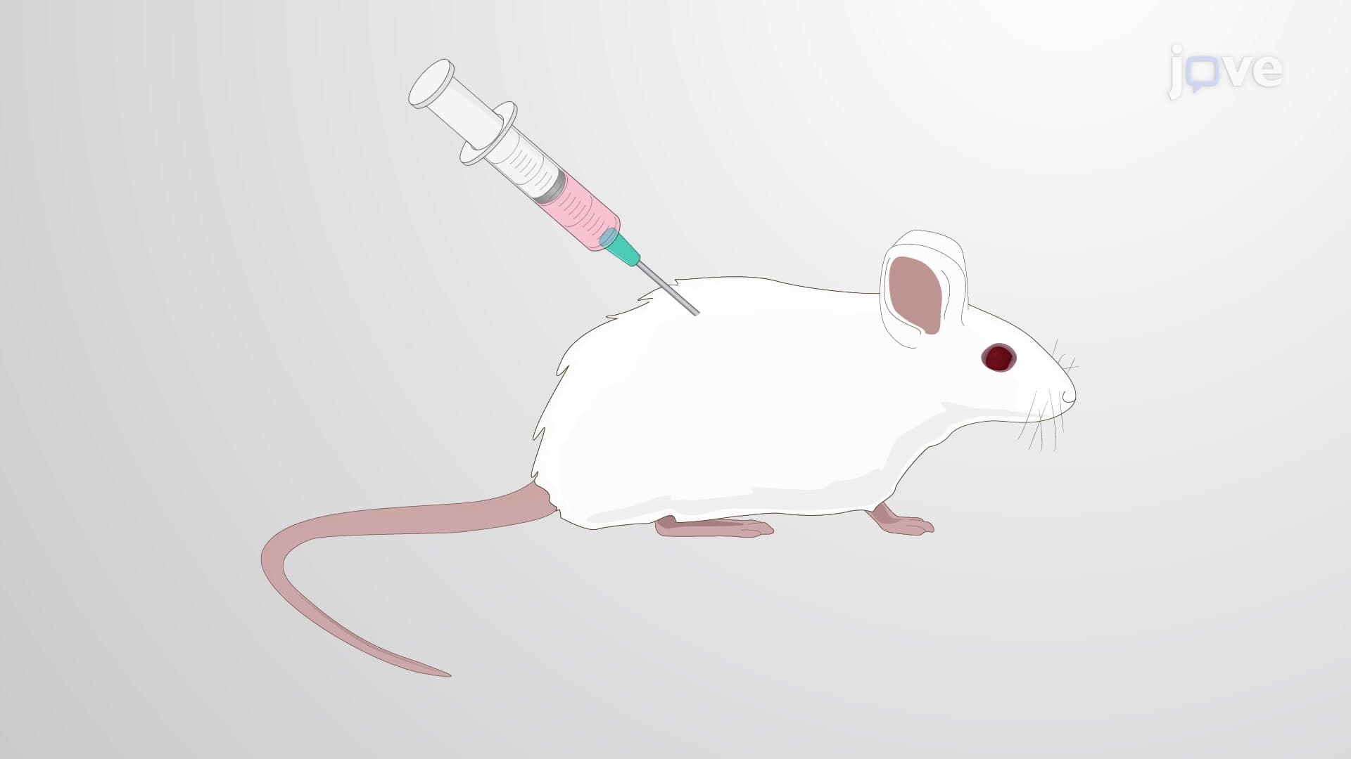 Hybridoma Technology