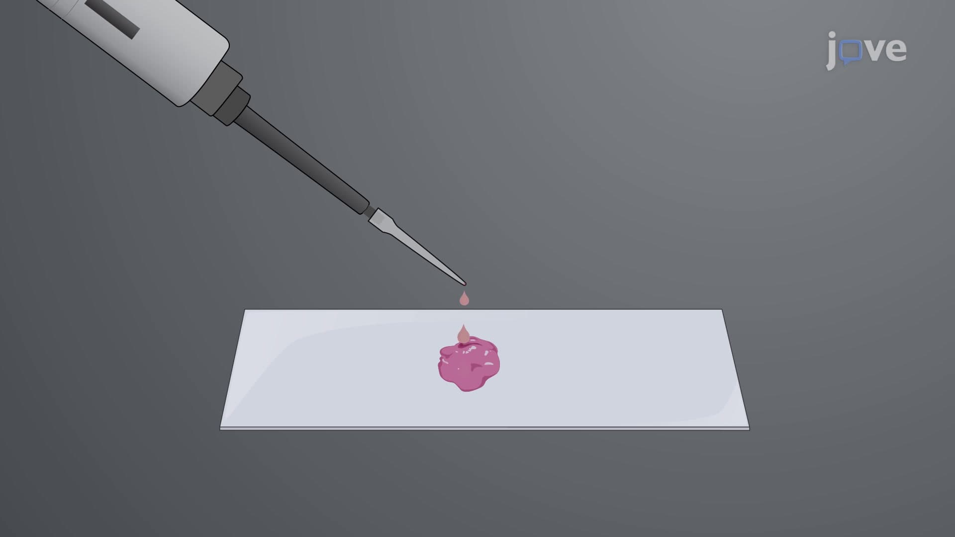 Fixation and Sectioning