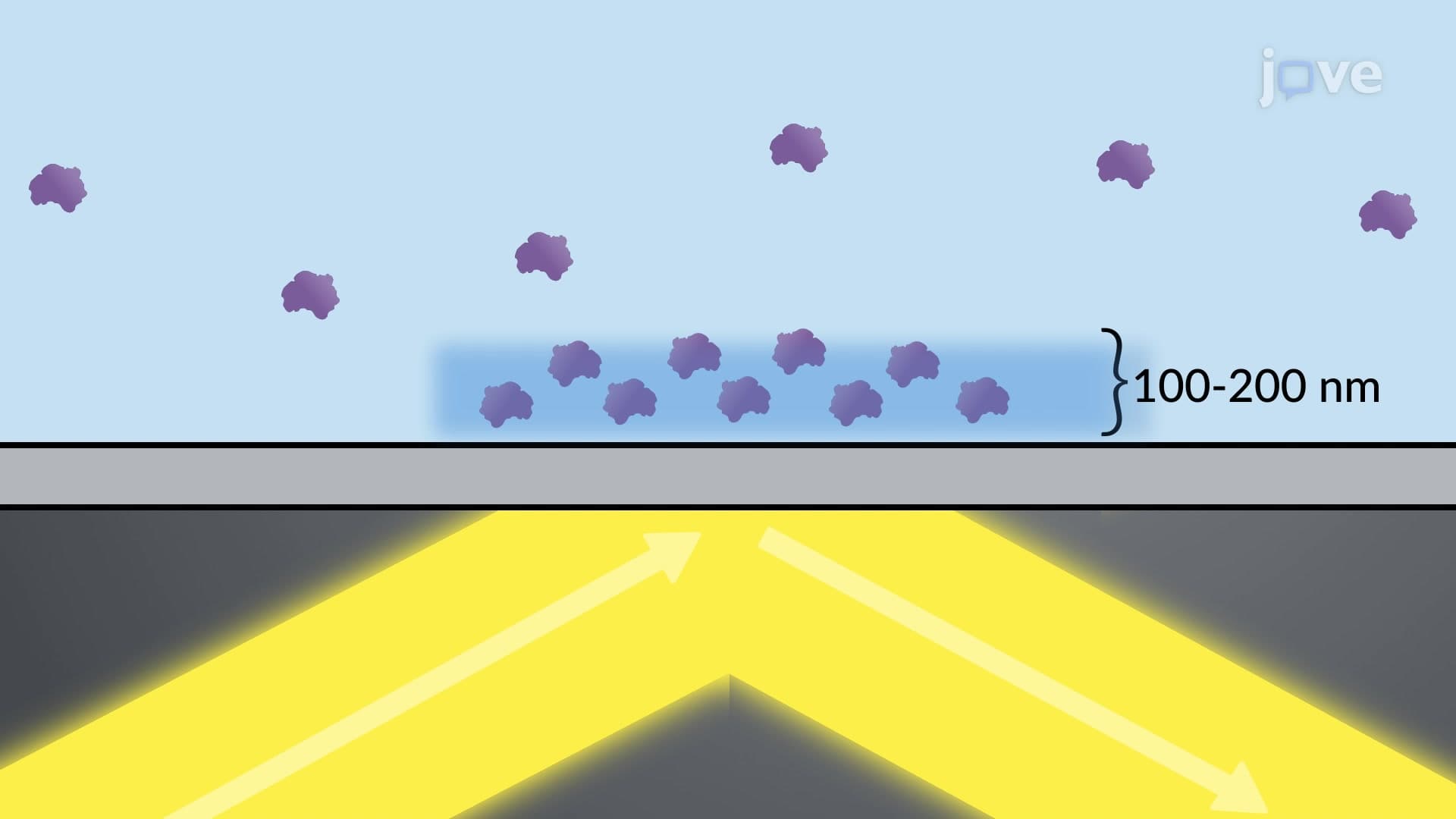 Total Internal Reflection Fluorescence Microscopy