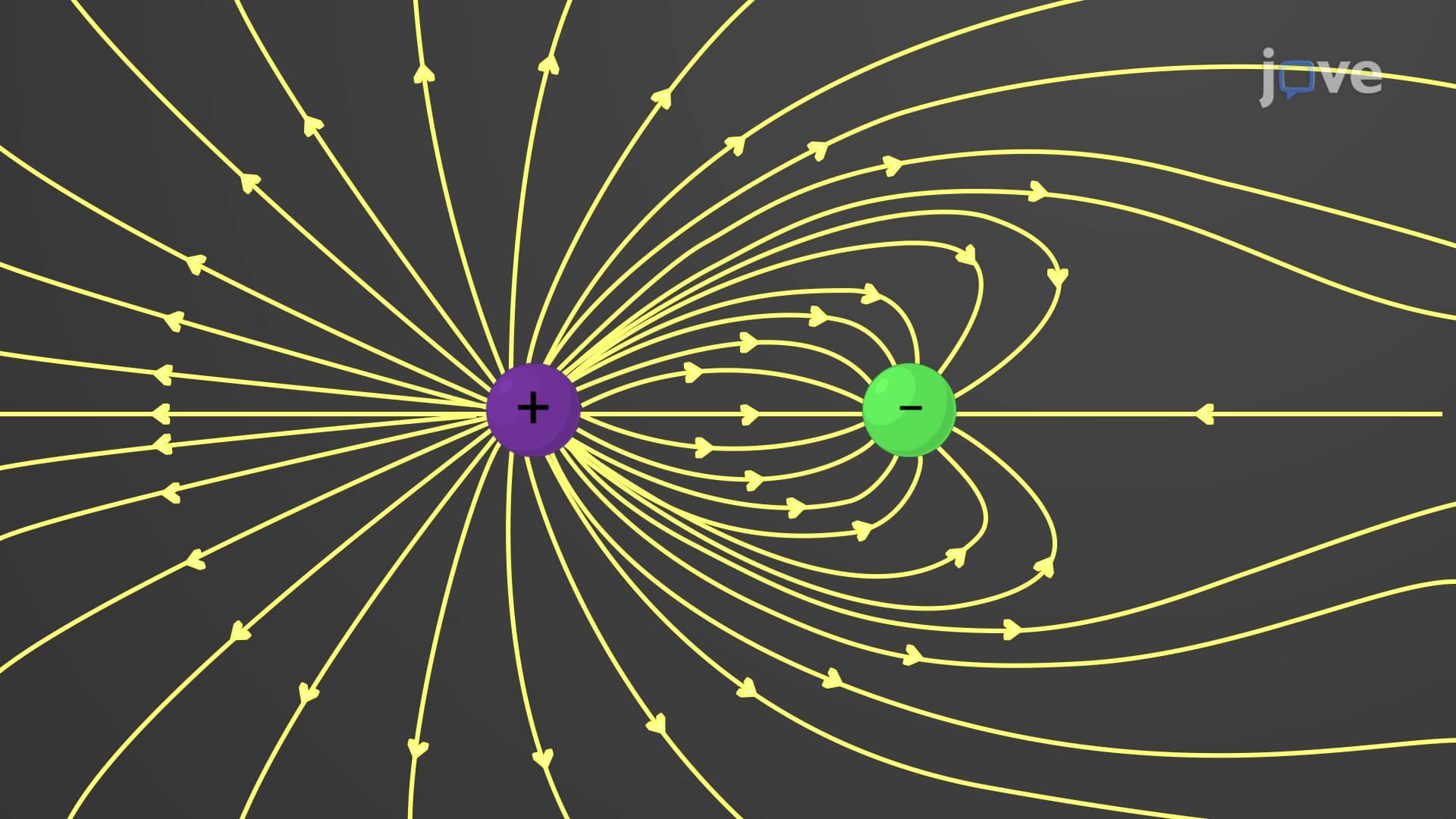 Electric Field Lines