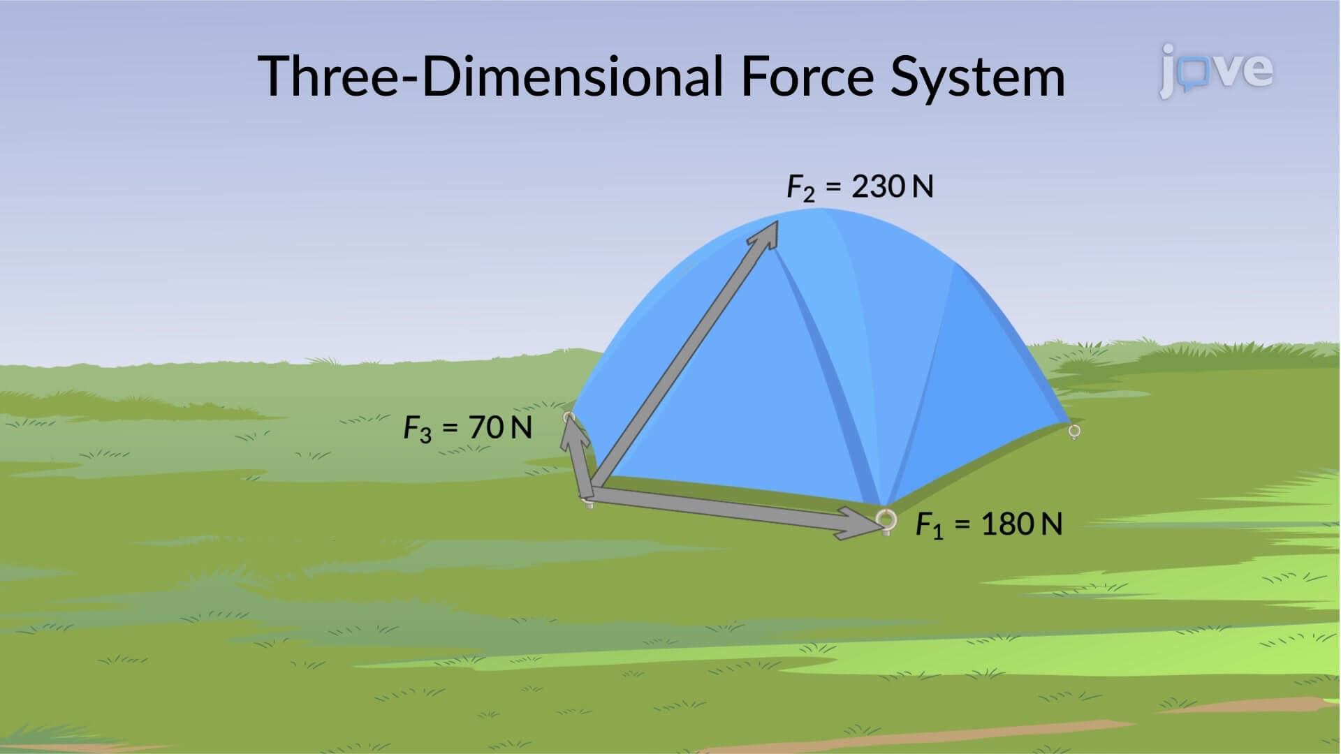 Three-Dimensional Force System:Problem Solving