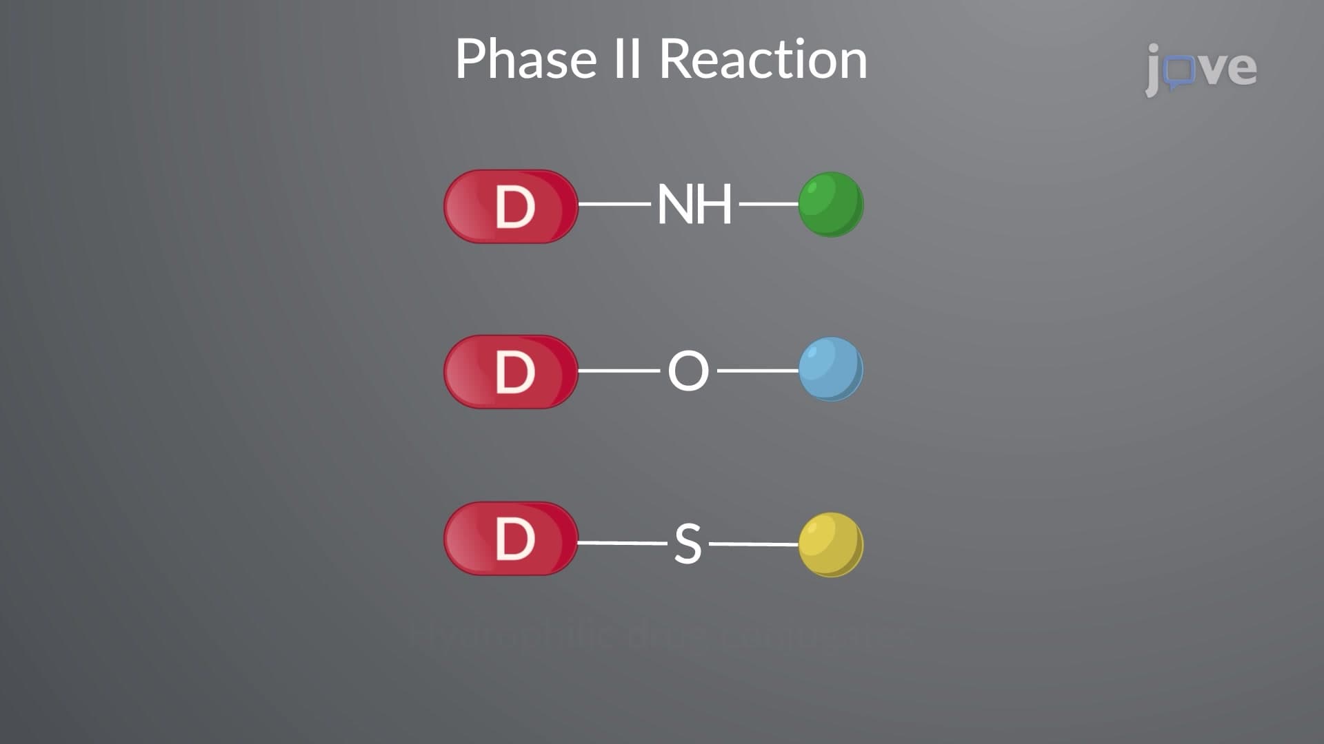 Drug Metabolism: Phase II Reactions