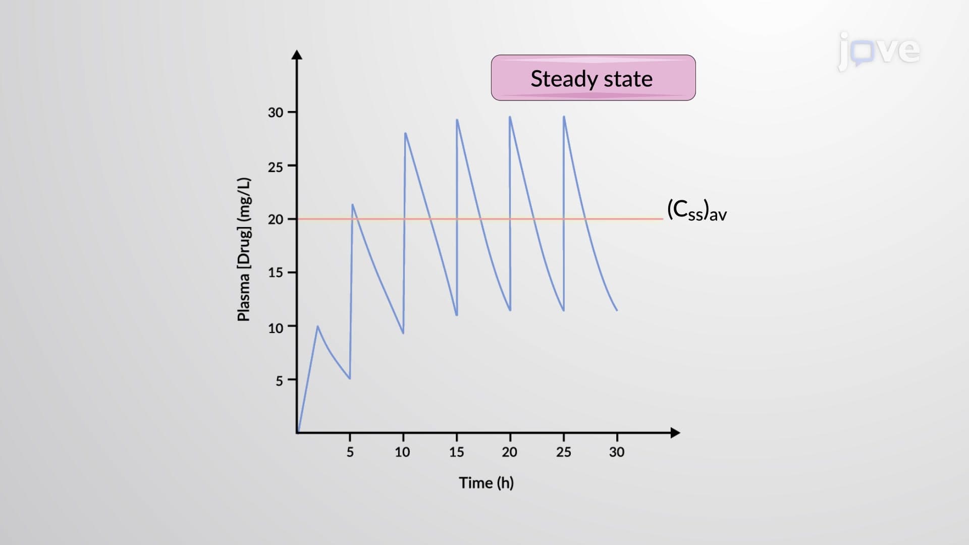 Steady State Concentration