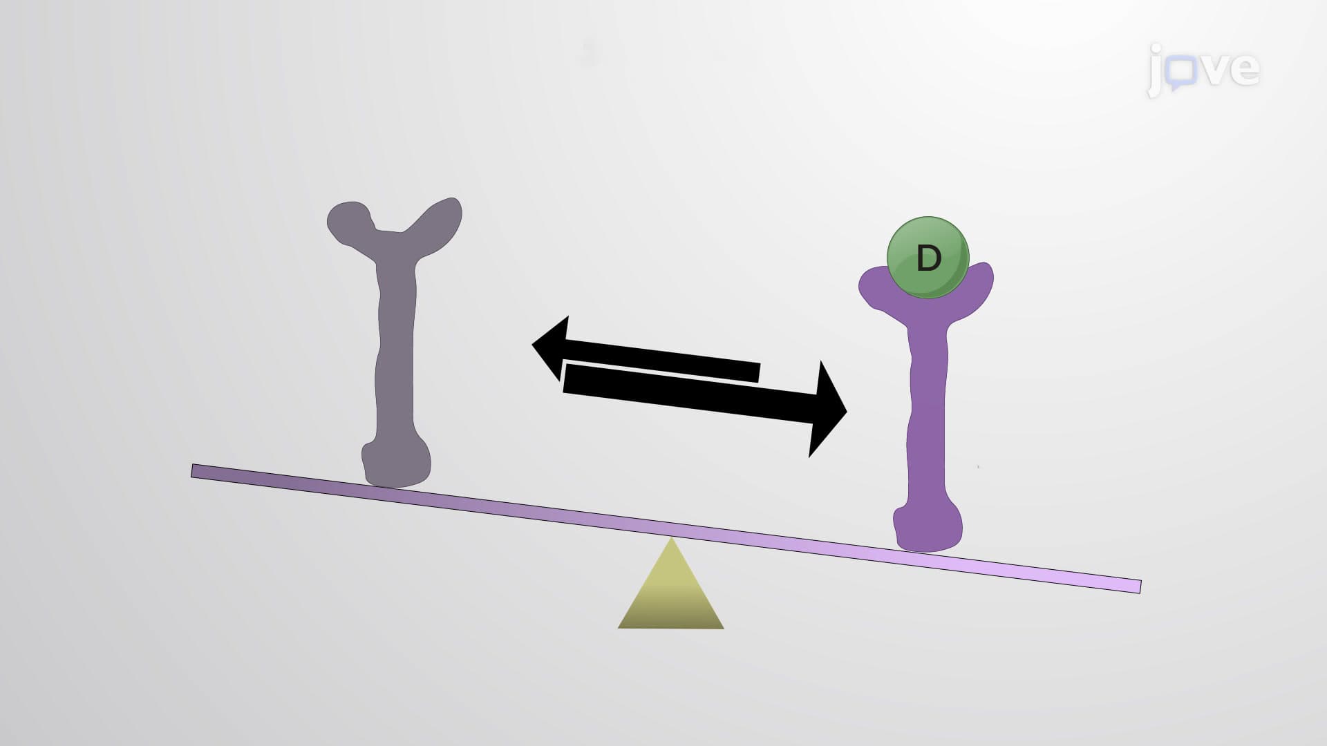 The Two-State Receptor Model