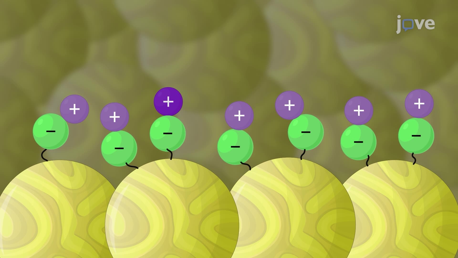 Ion-Exchange Chromatography