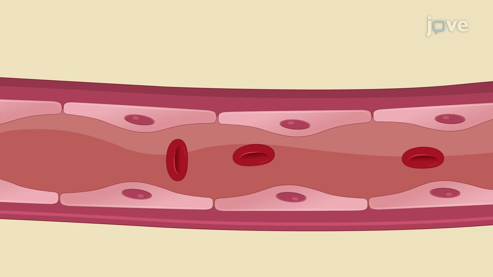 Hemoglobin