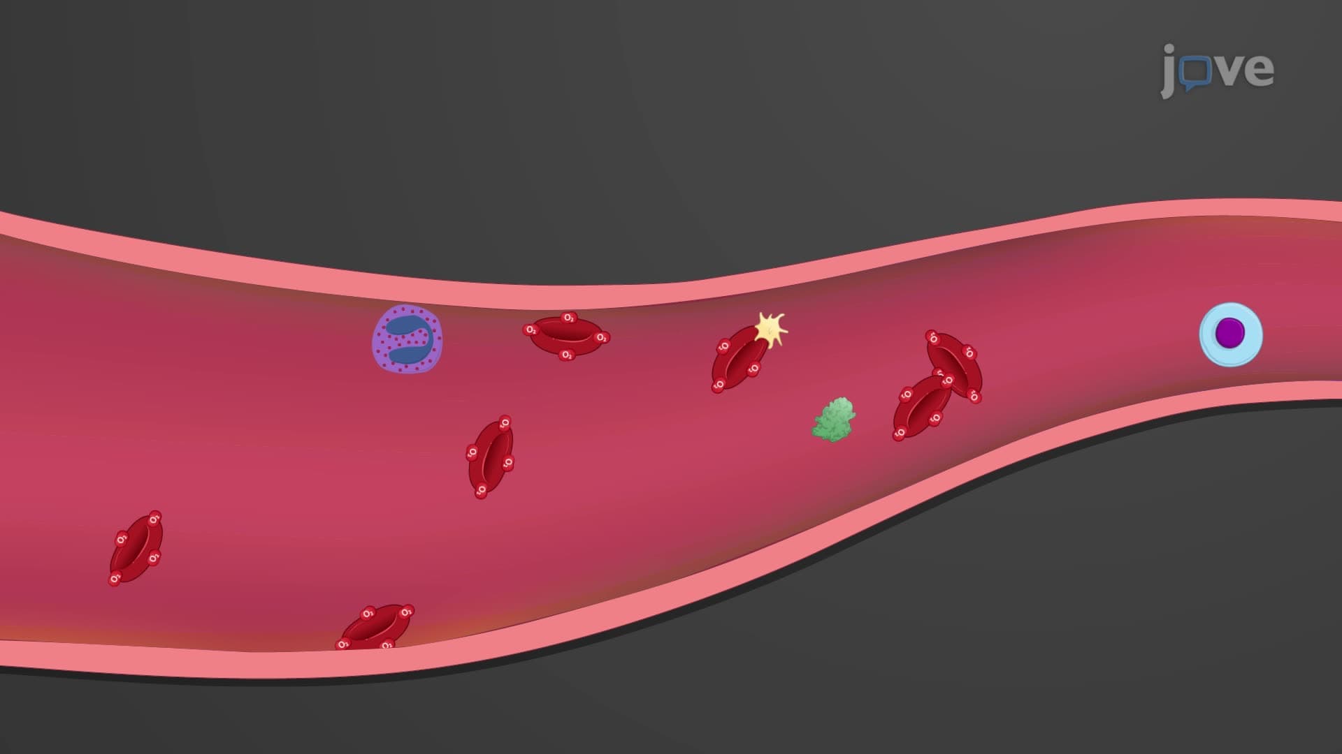 Vascular Resistance