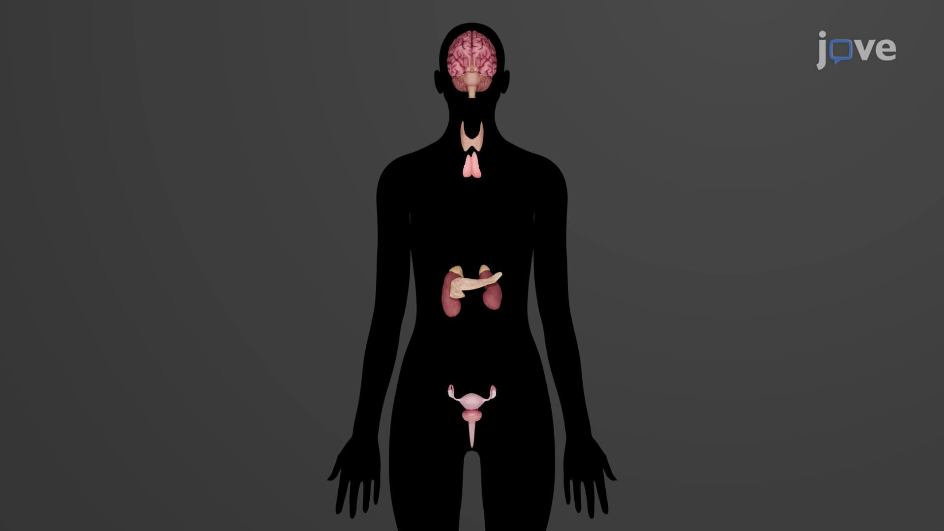 Autoimmune Disorders