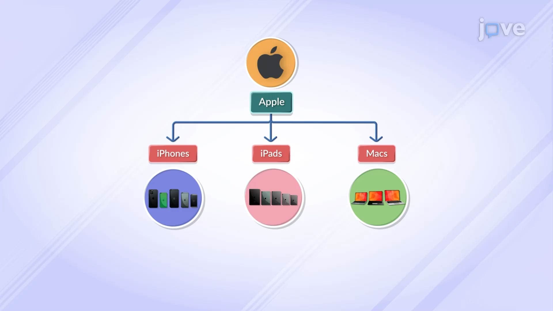 Product Line Decisions
