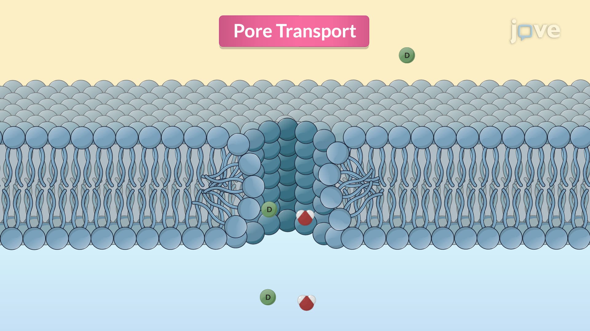 Pore Transport and Ion-Pair Transport