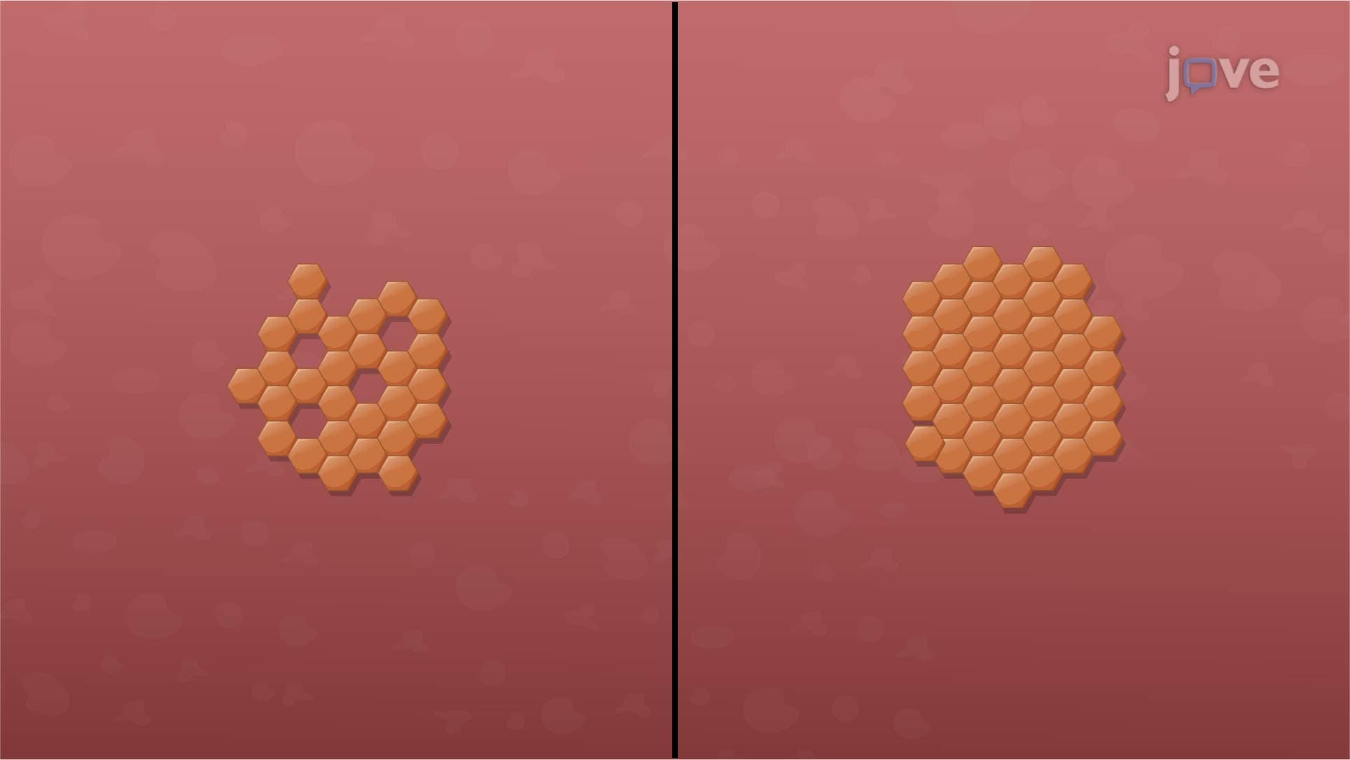 Factors Influencing Drug Absorption: Physicochemical Parameters