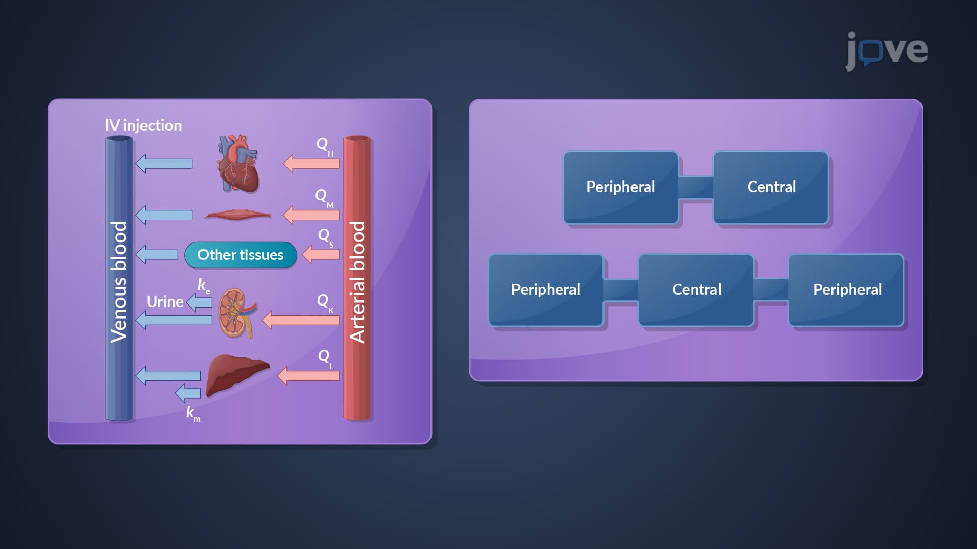 Pharmacokinetic Models: Comparison and Selection Criterion