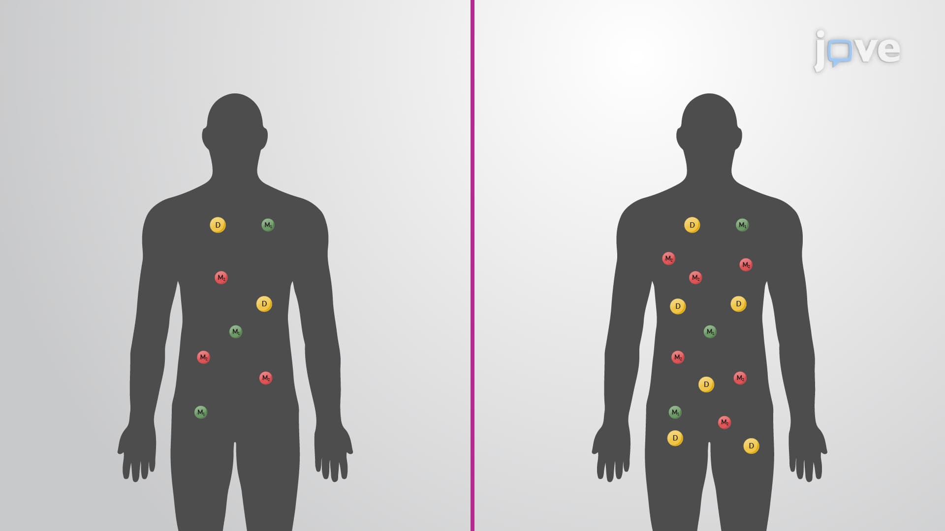 Nonlinear Pharmacokinetics: Overview