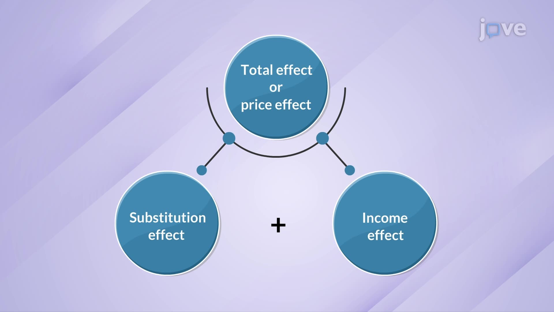 Income and Substitution Effects