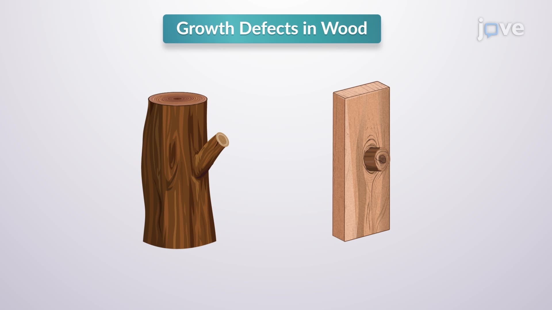 Lumber Defects