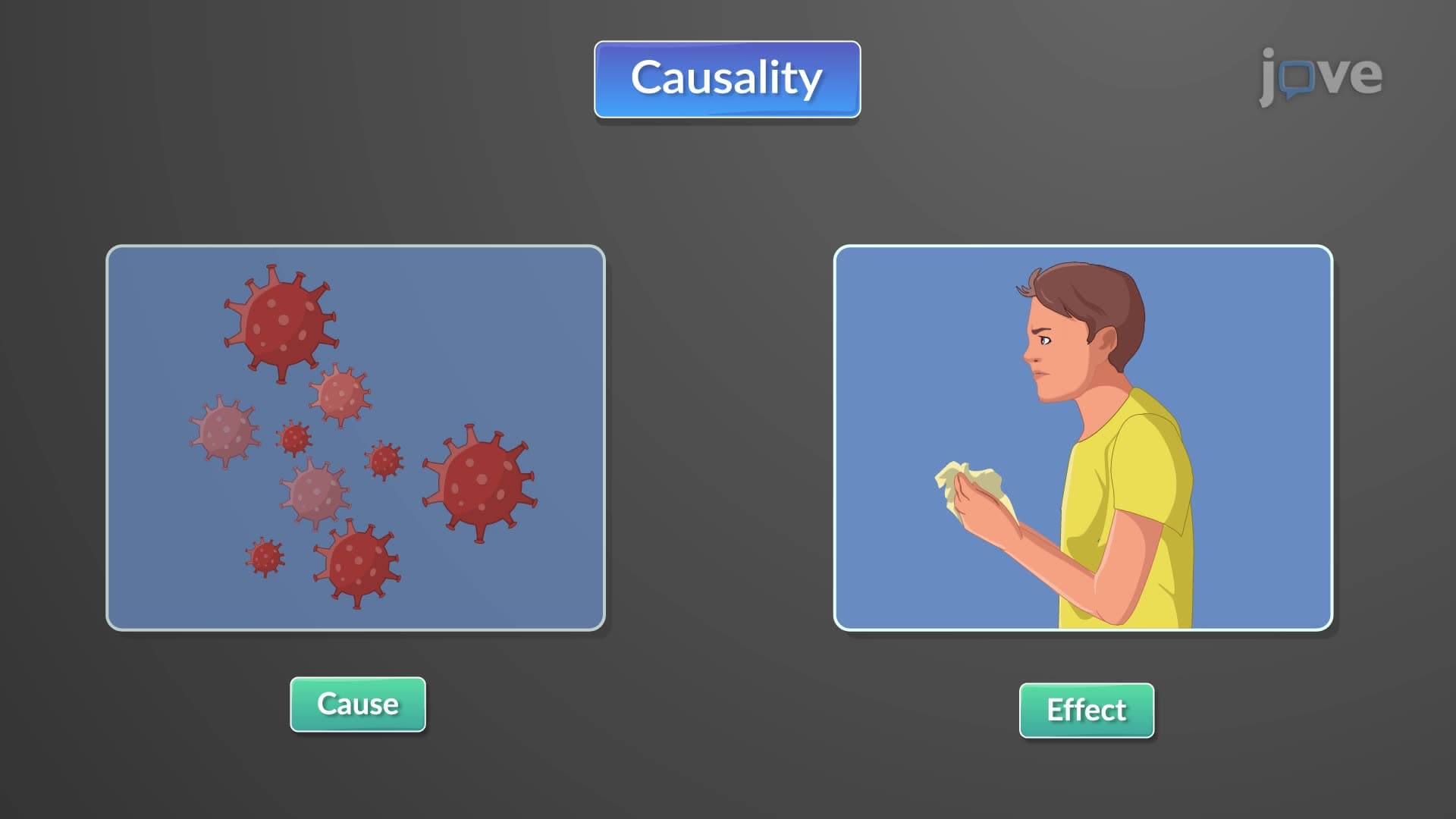 Causality in Epidemiology