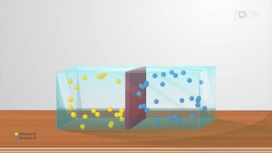 Properties of Solutions