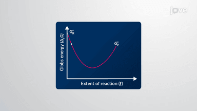Chemical Equilibria: Single Component Systems