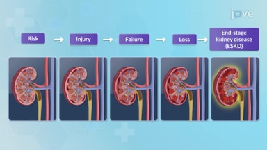 Management of Patients with Kidney Disorders