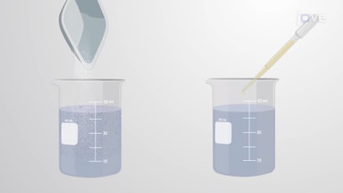 Solutions and Colloids