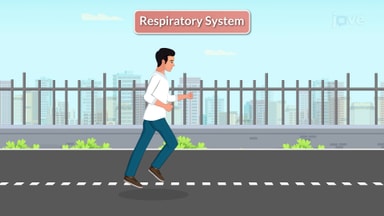 Vital Signs: Respiration