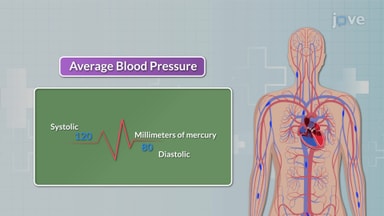 Vital Signs: Blood Pressure