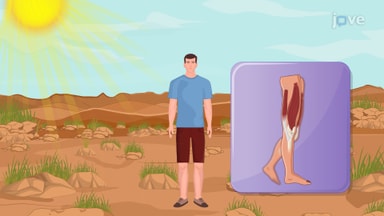 Functions of the Central and Peripheral Nervous System